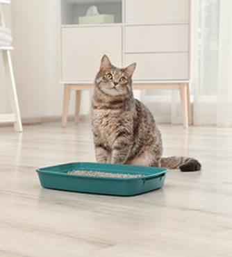 Cat Litter-Pet Food Online by Naturally Urban