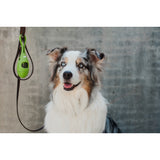 Earth Rated Leash Dispenser 2.0 with 15 Refill Poop Bags