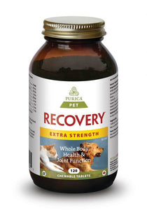 Purica Pet Recovery Extra Strength Chewable Tablets - Free Shipping - Naturally Urban Pet Food Shipping